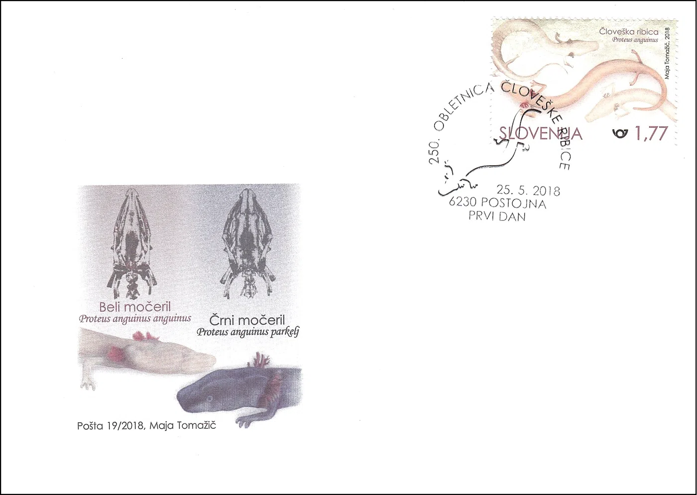 250. OBLETNICA ČLOVEŠKE RIBICE